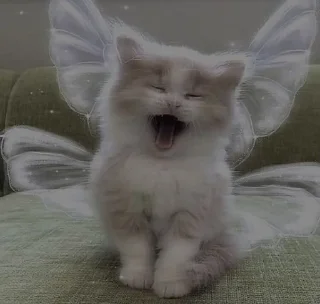 Sticker from котейки?