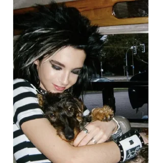 🎸 emoji tokio hotel Telegram sticker 22 of 103