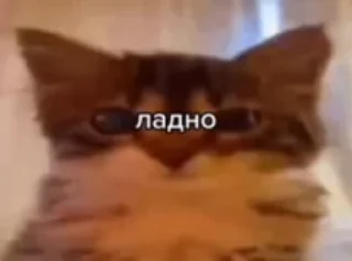 🌟 emoji Сюничка🩷 Telegram sticker 22 of 120