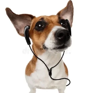 🎧 emoji собаки нахуй Telegram sticker 5 of 37