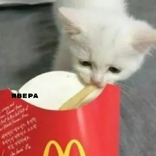 😳 emoji рабы глобуса Telegram sticker 4 of 18