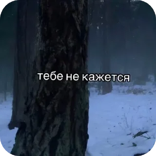 👍 emoji Лол кек Telegram sticker 8 of 24
