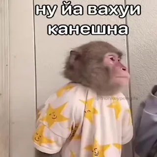 🙉 emoji @CloobHub <- больше фуллов Telegram sticker 15 of 55