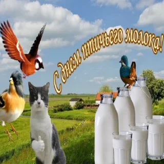 🦅 emoji С днем цемента Telegram sticker 18 of 120