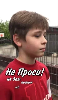 🌟 emoji Тимур Шенкевич Telegram sticker 20 of 21