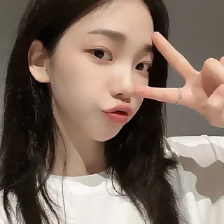 ✌ emoji `` Karina >> @horimiyaworld Telegram sticker 12 of 29