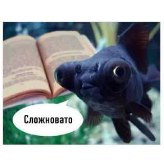 🐟 emoji Два яйца и пенис Telegram sticker 8 of 117