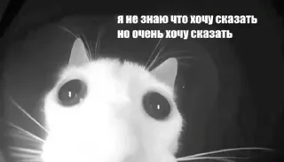 🌟 emoji Картиночки с текстом Telegram sticker 10 of 120
