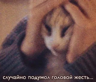 🌟 emoji Картиночки с текстом Telegram sticker 16 of 120