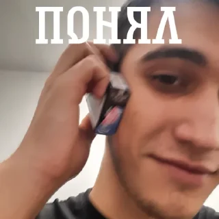 😄 emoji Михаил Андреевич Telegram sticker 14 of 24