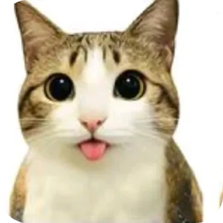 😋 emoji Котосова. Telegram sticker 21 of 33