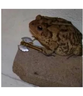 🖕 emoji Frog for Masha Telegram sticker 10 of 62
