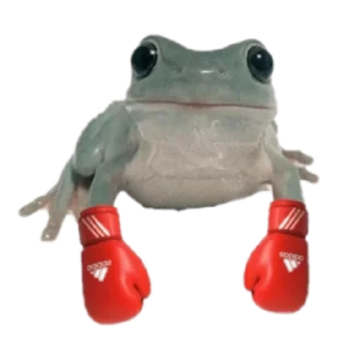 Sticker from Frog for Masha