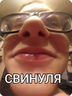 🐷 emoji бокисарик Telegram sticker 16 of 24