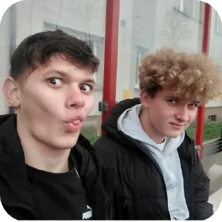 🥰 emoji концлагерь олеже Telegram sticker 22 of 43
