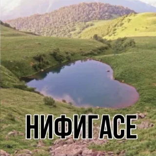 😨 emoji Чооо Telegram sticker 8 of 32