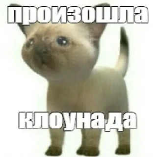 🤡 emoji Соска кун Telegram sticker 21 of 49