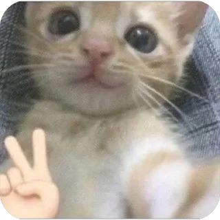 ✌️ emoji fav by tima Telegram sticker 21 of 118