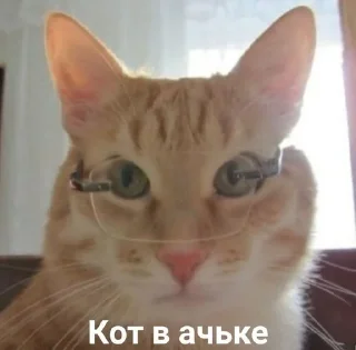 ☺️ emoji Гений Сяо! 🤪 Telegram sticker 16 of 40