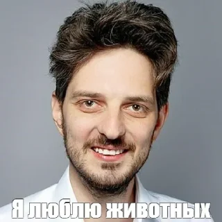 🐶 emoji Осуждаю Telegram sticker 20 of 22