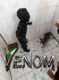 Sticker from Осуждаю