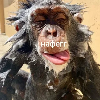 😄 emoji для зай Telegram sticker 8 of 18