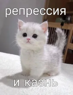 🌟 emoji Шиза Абобы228 :: @Aboba228_011 @fStikBot Telegram sticker 16 of 120