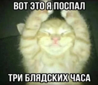 🌟 emoji Шиза Абобы228 :: @Aboba228_011 @fStikBot Telegram sticker 15 of 120