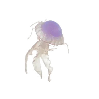 🐞 emoji 𖥦  see .𖦹 @stickers_from_ria_b Telegram sticker 7 of 45