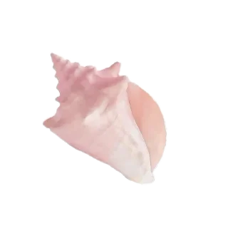🤲 emoji 𖥦  see .𖦹 @stickers_from_ria_b Telegram sticker 17 of 45