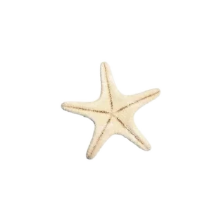 🍗 emoji 𖥦  see .𖦹 @stickers_from_ria_b Telegram sticker 12 of 45