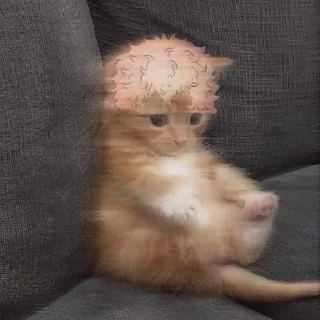 🥄 emoji Токийские коты Telegram sticker 13 of 43