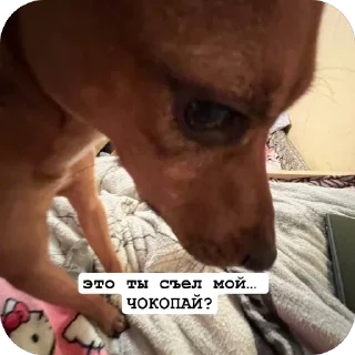 Sticker from мед студент «2»