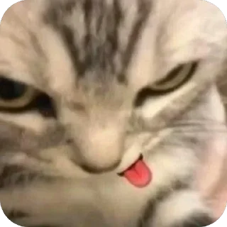 🫥 emoji @CLOOBHUB <- БОЛЬШЕ Telegram sticker 19 of 68