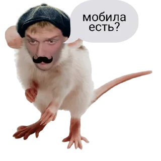 🥸 emoji mr_morj Telegram sticker 23 of 25