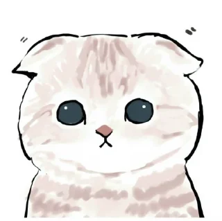 🍢 emoji 𝚔𝚒𝚝𝚝𝚎𝚗𝚜 : : 🍢 @packsamgmin Telegram sticker 11 of 50
