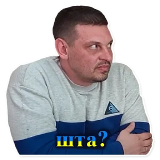 🤨 emoji Золкин&Co Telegram sticker 8 of 9