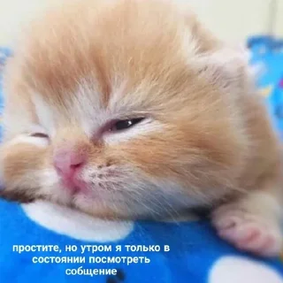 💗 emoji Китеки Telegram sticker 15 of 73