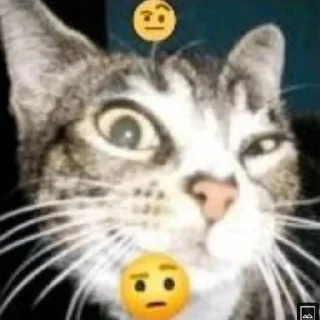😄 emoji Клоуны Telegram sticker 10 of 48