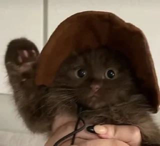 🦇 emoji ямы устали Telegram sticker 11 of 48