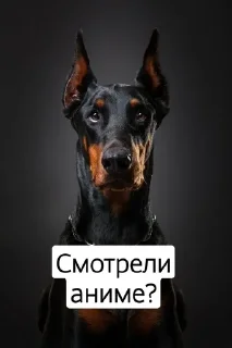 🧥 emoji Я не могу печатать) Telegram sticker 12 of 33