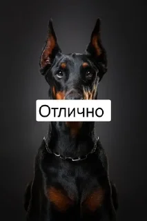 💩 emoji Я не могу печатать) Telegram sticker 4 of 33