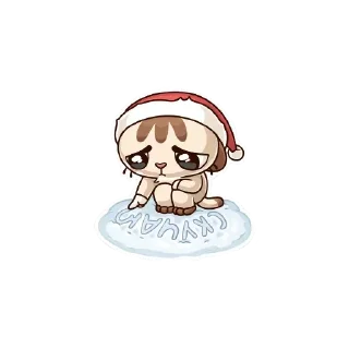 👍 emoji Котик Telegram sticker 7 of 96