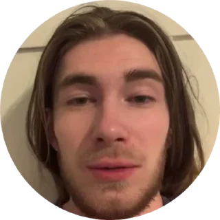 🌟 emoji гусев Telegram sticker 1 of 33