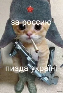 🤬 emoji Котейки:> Telegram sticker 18 of 26