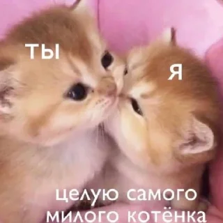 🥰 emoji Ммм Telegram sticker 8 of 23