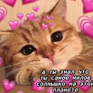 😍 emoji Ммм Telegram sticker 5 of 23