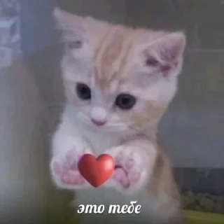 ❤️ emoji Ммм Telegram sticker 13 of 23