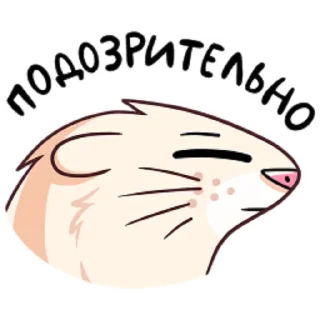 😑 emoji Нури Telegram sticker 23 of 48