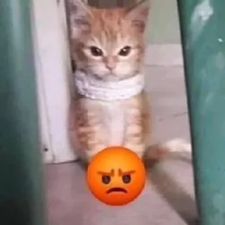 😡 emoji сексомания<33 Telegram sticker 3 of 120